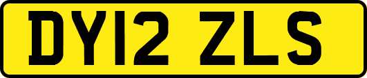 DY12ZLS