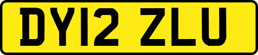 DY12ZLU