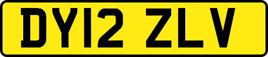 DY12ZLV