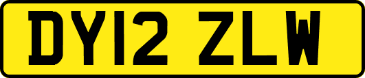 DY12ZLW