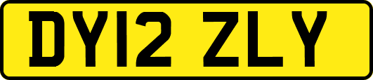 DY12ZLY