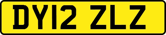 DY12ZLZ