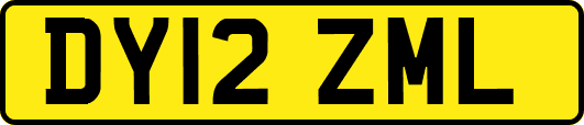DY12ZML