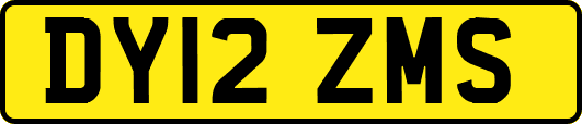 DY12ZMS