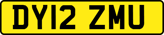 DY12ZMU
