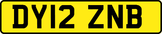 DY12ZNB