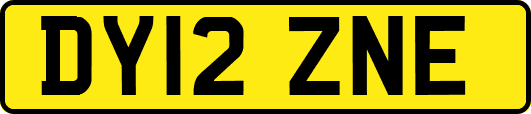 DY12ZNE