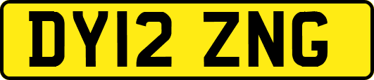 DY12ZNG