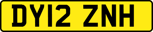 DY12ZNH