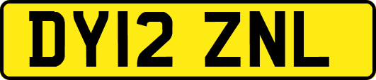 DY12ZNL