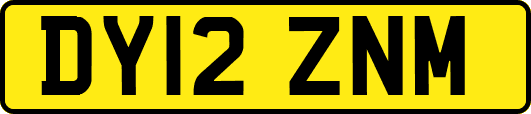 DY12ZNM