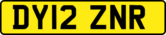 DY12ZNR