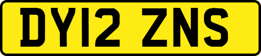 DY12ZNS