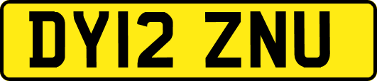 DY12ZNU