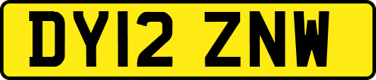 DY12ZNW