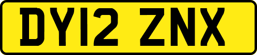 DY12ZNX