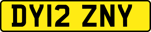 DY12ZNY