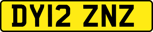 DY12ZNZ