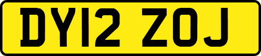 DY12ZOJ