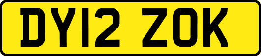 DY12ZOK