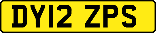 DY12ZPS