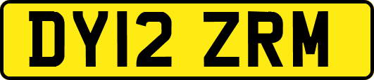 DY12ZRM