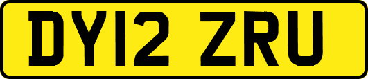DY12ZRU