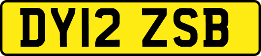 DY12ZSB