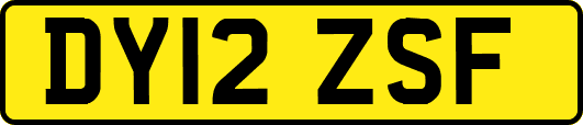 DY12ZSF