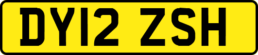 DY12ZSH