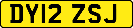 DY12ZSJ
