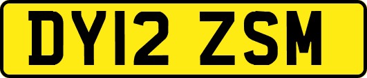 DY12ZSM