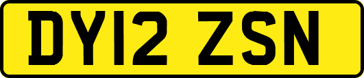 DY12ZSN