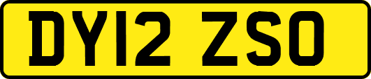 DY12ZSO