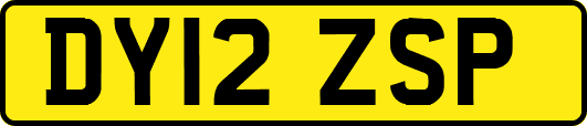 DY12ZSP