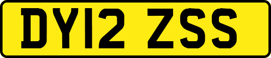 DY12ZSS