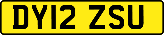 DY12ZSU