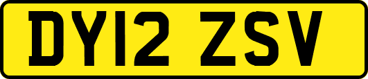 DY12ZSV