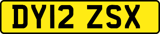 DY12ZSX