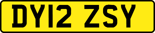 DY12ZSY