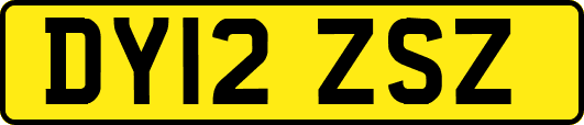 DY12ZSZ