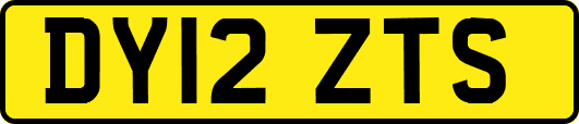 DY12ZTS
