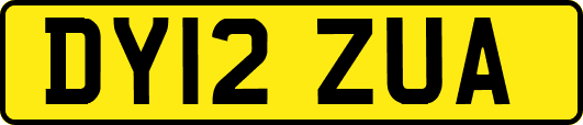 DY12ZUA