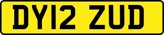 DY12ZUD
