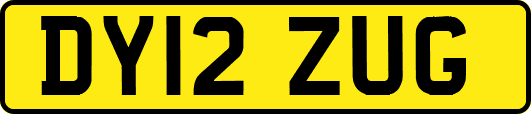 DY12ZUG