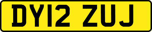 DY12ZUJ