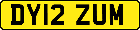 DY12ZUM