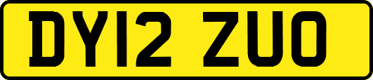 DY12ZUO