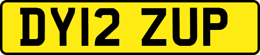 DY12ZUP