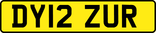 DY12ZUR